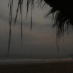Aditya Roy Kapur Instagram -