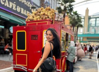 Ahana Kumar Instagram - Certain days get etched in your core memory. This was one of those days for me. ♥️☺️🎡 Universal Studios Singapore