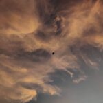Alekhya Harika Instagram - No filter Allpey