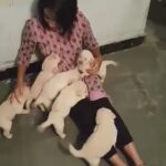 Alekhya Harika Instagram - PURE HAPPINESS<3