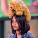 Alekhya Harika Instagram - Mr.Captain❤ Please #VoteForHarika🗳 #LetsDoThisFam💪 Go to Disney+Hotstar App 1. Type BiggBoss Telugu 2. Click on Vote 3. Tap on Harika's profile (10 times) #alekhyaharika Give a Missed Call to 888 66 58 208 (Limit 10 Missed Calls per day) #GoGirl #girlpower #harikasroadtofinale #TeamAlekhyaHarika #WeAreWithYouHarika #wesupportharika #alekhyaharika #biggbosstelugu4