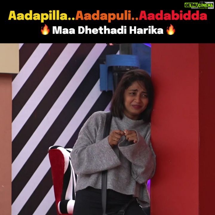 Alekhya Harika Instagram - Aadapilla...Aadapuli..Aadabidda Maa Dhethadi Harika💃🔥🔥🔥 Thankyou avinash🤗❤ - #TeamAlekhyaHarika #GoGirl #girlpower #harikasroadtofinale #WeAreWithYouHarika #wesupportharika #alekhyaharika #biggbosstelugu4