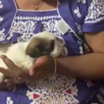 Alekhya Harika Instagram –