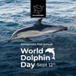 Amy Jackson Instagram – Repost @seashepherduk  Today is WORLD DOLPHIN DAY! 

Exactly one year ago, the world was shocked to see Sea Shepherd footage capturing the brutal killing of 1428 Atlantic white-sided dolphins in the Faroe Islands, the largest single slaughter of cetaceans in recorded history. 
 
Most people still don’t realize how many dolphins and pilot whales are killed every year in the Faroe Islands and elsewhere. Through World Dolphin Day, we can raise awareness and encourage more people to speak out against the slaughters. 

Help us make it clear to the Faroese – as well as governments and international organizations like the IWC –  that the world is watching, and that we demand legal protections for small cetaceans around the world. 

Join the coalition 👉 link in bio. 

Spread the word about World Dolphin Day and make your voice heard! 

#WorldDolphinDay1428
#WorldDolphinDay
#WDD1428 
#StoptheGrind