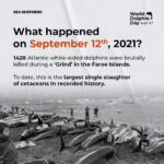 Amy Jackson Instagram - Repost @seashepherduk Today is WORLD DOLPHIN DAY! Exactly one year ago, the world was shocked to see Sea Shepherd footage capturing the brutal killing of 1428 Atlantic white-sided dolphins in the Faroe Islands, the largest single slaughter of cetaceans in recorded history. Most people still don’t realize how many dolphins and pilot whales are killed every year in the Faroe Islands and elsewhere. Through World Dolphin Day, we can raise awareness and encourage more people to speak out against the slaughters. Help us make it clear to the Faroese – as well as governments and international organizations like the IWC – that the world is watching, and that we demand legal protections for small cetaceans around the world. Join the coalition 👉 link in bio. Spread the word about World Dolphin Day and make your voice heard! #WorldDolphinDay1428 #WorldDolphinDay #WDD1428 #StoptheGrind