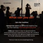 Amy Jackson Instagram - Repost @seashepherduk Today is WORLD DOLPHIN DAY! Exactly one year ago, the world was shocked to see Sea Shepherd footage capturing the brutal killing of 1428 Atlantic white-sided dolphins in the Faroe Islands, the largest single slaughter of cetaceans in recorded history. Most people still don’t realize how many dolphins and pilot whales are killed every year in the Faroe Islands and elsewhere. Through World Dolphin Day, we can raise awareness and encourage more people to speak out against the slaughters. Help us make it clear to the Faroese – as well as governments and international organizations like the IWC – that the world is watching, and that we demand legal protections for small cetaceans around the world. Join the coalition 👉 link in bio. Spread the word about World Dolphin Day and make your voice heard! #WorldDolphinDay1428 #WorldDolphinDay #WDD1428 #StoptheGrind