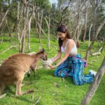 Amyra Dastur Instagram - 🌈 टूरिस्ट 🦋 . . . @visitmelbourne @australia #visitmelbourne #seeaustralia #australia #koala #wildlife #travel #travelgram #traveljunkie #wanderlust Phillip Island, Victoria