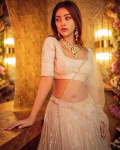 Anu Emmanuel Instagram - 🕊