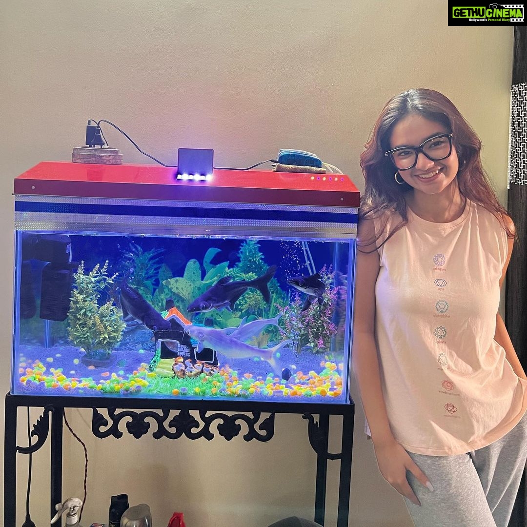 Anushka Sen Instagram - Recreated some of my pictures from Jamshedpur ( nana Nani’s house ) 🫶🥰 . P.S Mithu the parrot and the fishes are older to me 😂 We are growing up together 😬