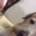 Anushka Shetty Instagram – 🦴 😂❤️