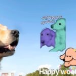 Anushka Shetty Instagram – Woof β€οΈ