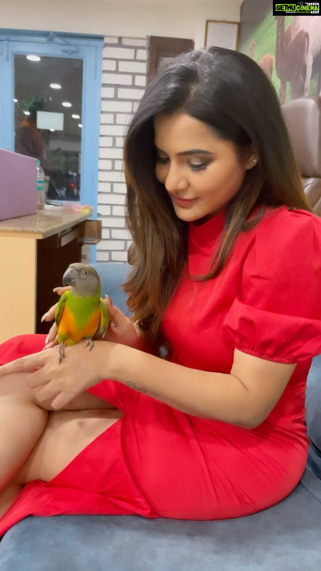 Ashu Reddy Instagram - Pets are my favorite 😻♥️ give your heart to pets, there's pure innocence in their eyes 💕 #ashureddy #adoptdontshop #savepets #savebirds