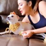 Ashu Reddy Instagram - My Bangaraju ♥️ Give your hearts to pets, they don't break! #ashureddy #rajugadu #adoptdontshop ♥️