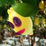 Ashu Reddy Instagram - Mee Ashu ~ nimmakayy aithe..!! 😂😂 #ashureddy #crazylemon #nimmakay 🍋😂
