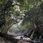 Ashu Reddy Instagram - Travel to work places!! ♥️✈️💯 #getaway #naturetherapy #alonetime 😊☀️ #ashureddysexy