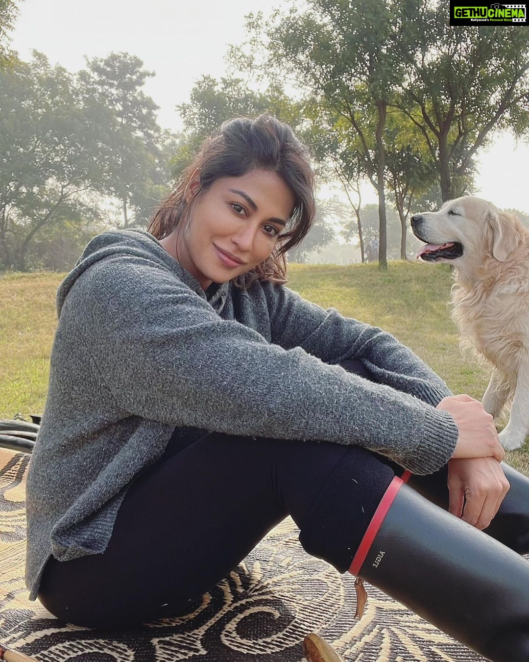 Chitrangada Singh Instagram - Big love .. small moments 🐶 ☀️ 🌳 🏇💫❤️ #poloweather #chakkaday #lastsunday Sitting about @haryana_polo & @angad_kalaan ‘s corner !