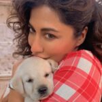 Chitrangada Singh Instagram - The cutest little thing in our van today !! 🐶🥺🥺🥰❤️❤️❤️ #puppyeyes #puppycuddles #photodump💕