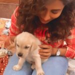Chitrangada Singh Instagram - The cutest little thing in our van today !! 🐶🥺🥺🥰❤️❤️❤️ #puppyeyes #puppycuddles #photodump💕