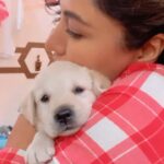 Chitrangada Singh Instagram – The cutest little thing in our van today !! 🐶🥺🥺🥰❤️❤️❤️
#puppyeyes #puppycuddles 
#photodump💕