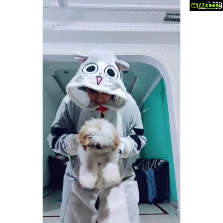 Deepthi Sunaina Instagram - When cat meets @arri_thecub #deepthisunaina