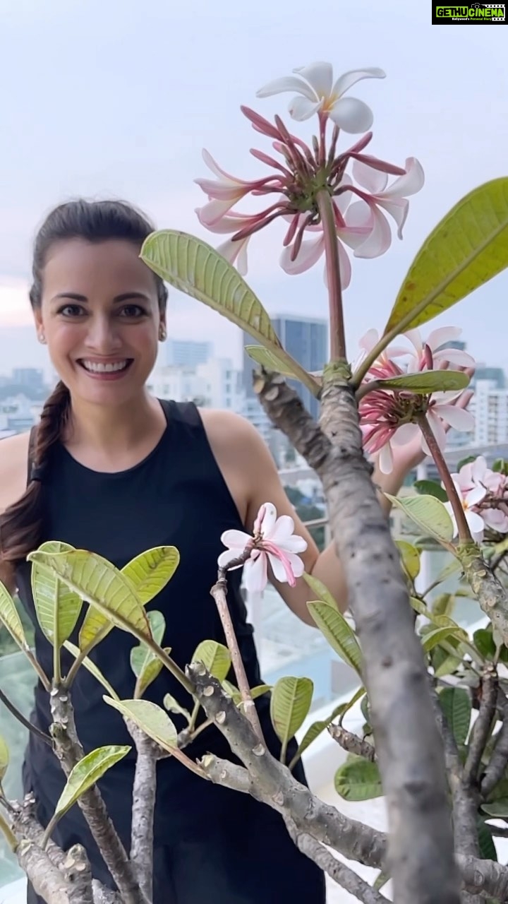 Dia Mirza Instagram - Here’s a new addition to my daily diet @dr.oetkerindia FunFoods 100% Natural Peanut Butter, my protein packed buddy for my active lifestyle! This all new Peanut Butter is preservative-free and vegan 💚🌱 A scoop of it into my everyday routine helps me #RaiseTheBar because it’s rich in dietary fibre, calcium, & a good source of vitamins, making it the perfect addition to my diet to help me keep up with my little one 🐯