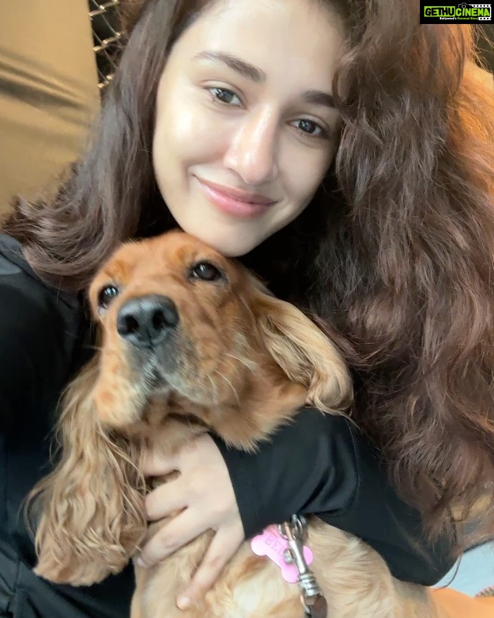 Disha Patani Instagram - Missing my bellu and πΆπβπ¦Ίππ±β€οΈ