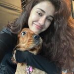 Disha Patani Instagram - Missing my bellu and 🐶🐕‍🦺🐈🐱❤️