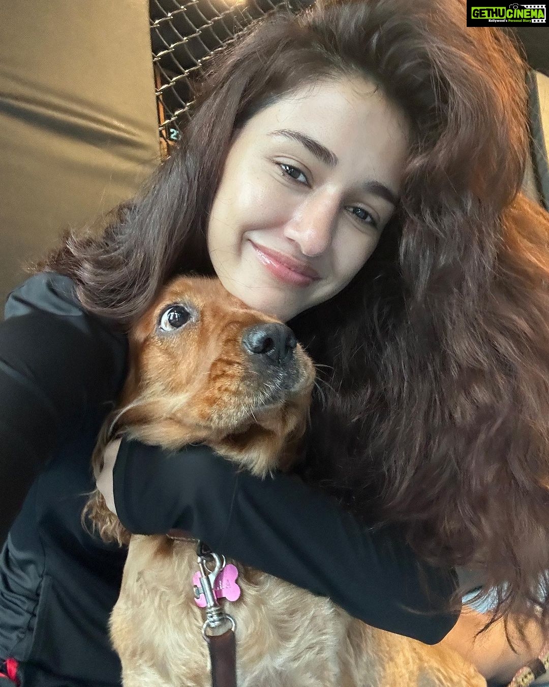 Disha Patani Instagram - Missing my bellu and πΆπβπ¦Ίππ±β€οΈ