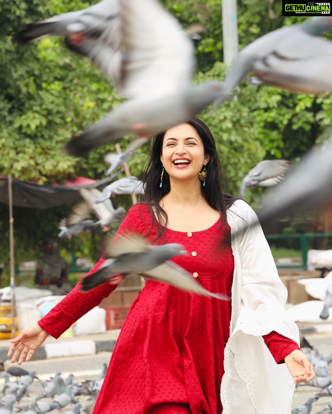 Divyanka Tripathi Instagram - Kabootar moments I couldn't resist sharing with you! Aren't these pictures pure joy? 😀