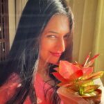 Divyanka Tripathi Instagram - It was a perfect Sun day today! 🌝 #SundaySun #PhotoDump (Also enjoying a new plant-baby gift in house) Mumbai - मुंबई