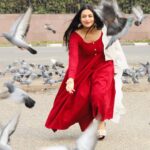 Divyanka Tripathi Instagram - Kabootar moments I couldn't resist sharing with you! Aren't these pictures pure joy? 😀