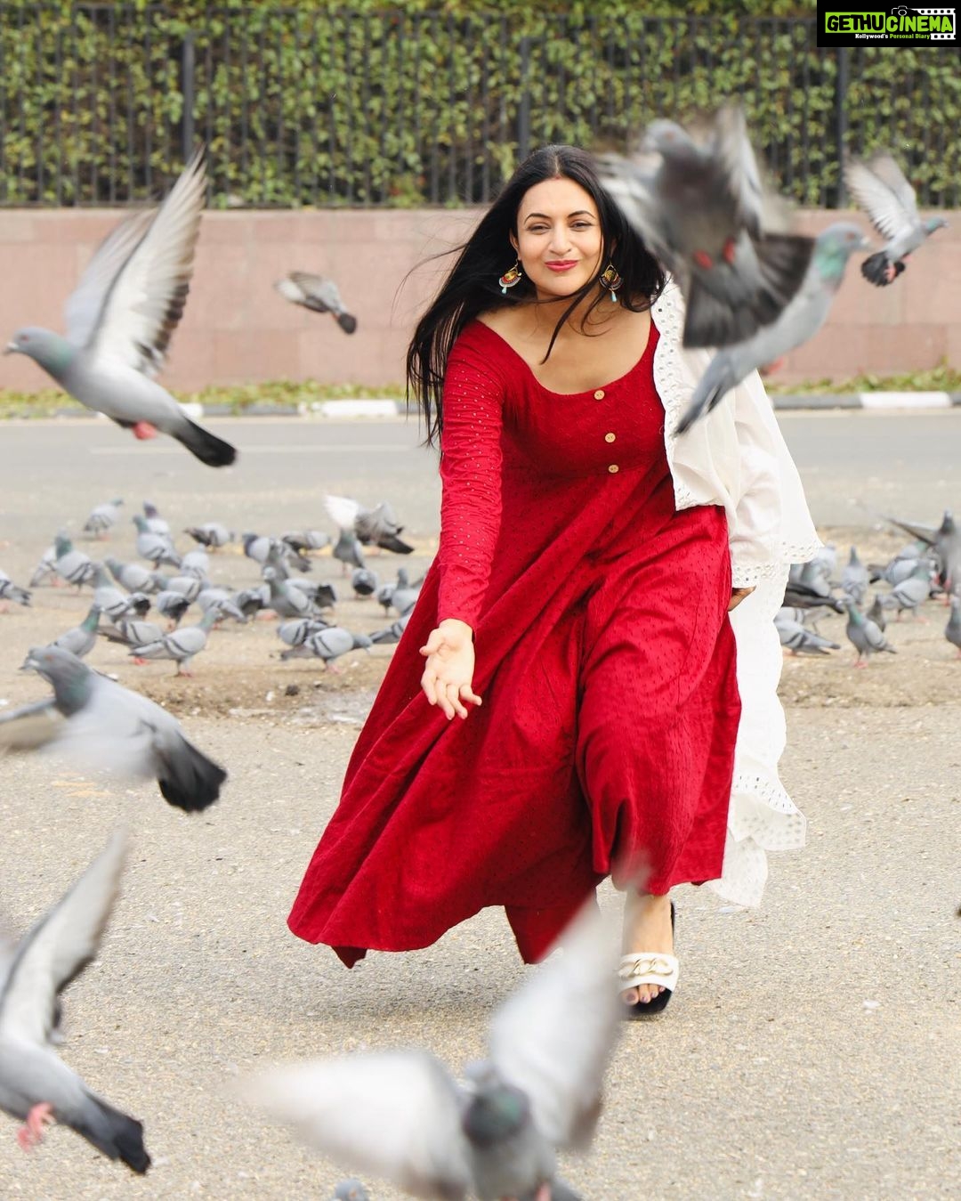 Divyanka Tripathi Instagram - Kabootar moments I couldn't resist sharing with you! Aren't these pictures pure joy? 😀