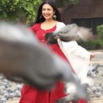 Divyanka Tripathi Instagram - Kabootar moments I couldn't resist sharing with you! Aren't these pictures pure joy? 😀