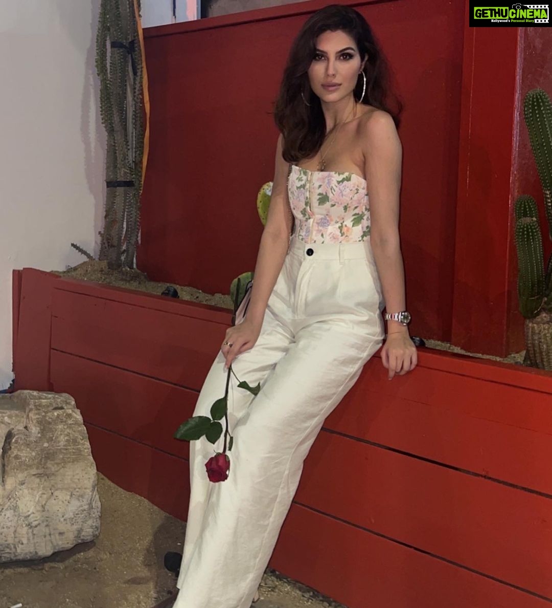 Elnaaz Norouzi Instagram - Go ahead Mami, breathe again 🌹 Los Angeles, California