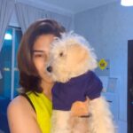 Erica Fernandes Instagram - Just for fun .. or maybe not 😂🤣 … ginger on the loose #reelsindia #foryou #trending