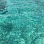 Esha Gupta Instagram - “The Ocean: Life and livelihoods”#worldoceansday 🐬