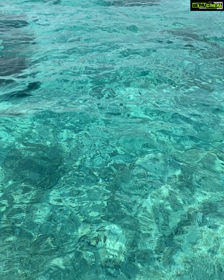 Esha Gupta Instagram - “The Ocean: Life and livelihoods”#worldoceansday 🐬