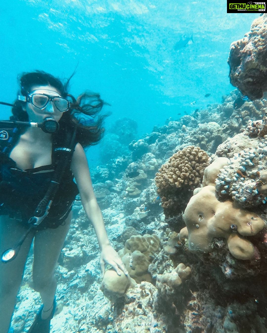 Esha Gupta Instagram - “The Ocean: Life and livelihoods”#worldoceansday 🐬