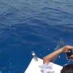 Esha Gupta Instagram - Swipe 🐬 @reethifaru @ncstravels thank you @marko_akk Reethi Faru Resort