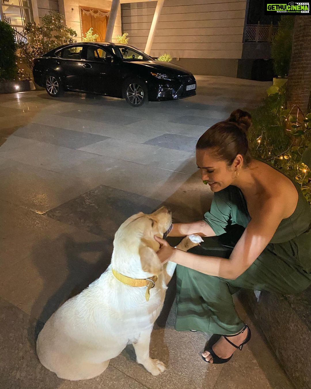 Esha Gupta Instagram - My kids are clingy 🐾