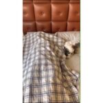 Ishita Dutta Instagram - Early to rise and early to bed 😝💤