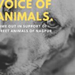 Jennifer Winget Instagram - 🙏🙏🙏 #abhinahitohkabhinahi @handsthatheal_ @bombayanimalrights @mumbaianimalassociation_maa @ngothankyouearth #jayabhattacharya
