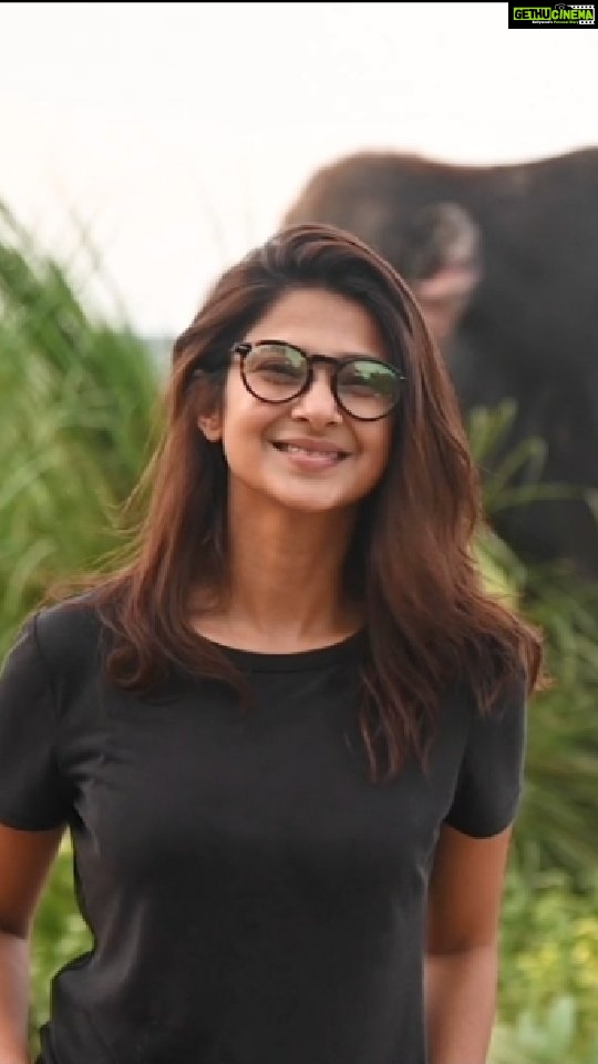 Jennifer Winget Instagram - On the auspicious occasion of Ganesh Chaturthi, here is a recap of the esteemed Indian actress and our #WildlifeWarrior @jenniferwinget1's volunteering experience with Wildlife SOS! Across the three days, the actress spent her time helping care for the elephants — from taking a walk with resident elephants and chopping fruits for them, to preparing stimulating enrichments and learning about their treatment procedures. Our team is highly inspired by Jennifer’s grit, determination, and compassion to make a difference in saving India's wildlife. Watch the video till the end to hear Jennifer's heartfelt message about these gentle giants! #elephants #elephant #elephantlove #indianelephant #asianelephant #wildlife #conservation #wildindia #animals #saveanimals #savelephants #worldelephantday #elephantrescue #elephants #elephantcare #jenniferwinget #jenniferwingetfans #volunteerwork #volunteerwithus #volunteer #ganesha #ganeshchaturthi #wildlifesosindia #WildlifeWarrior #wildlifesos