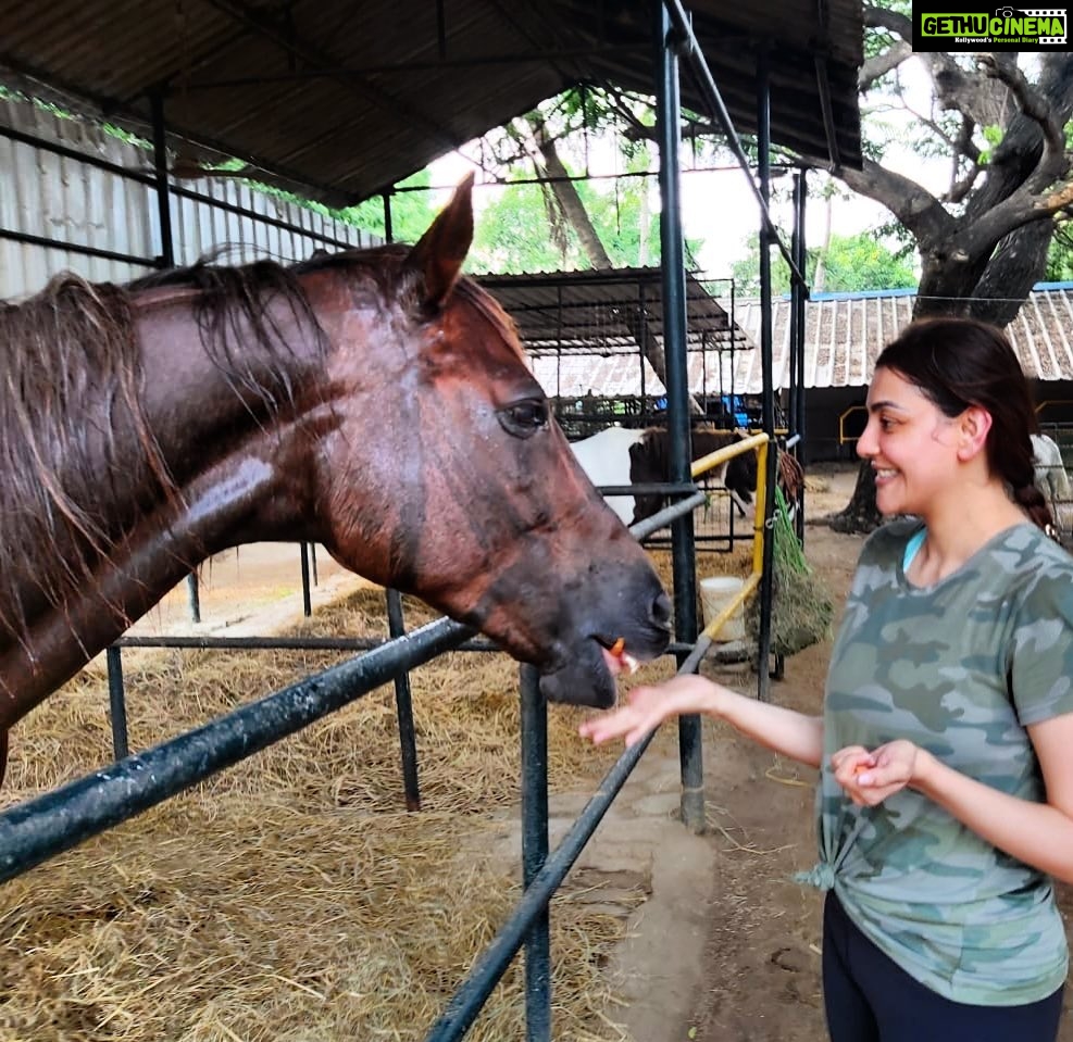 Kajal Aggarwal Instagram - “No hour of life is wasted that is spent in the saddle” - Winston Churchill Falling in love with this beautiful sport 😍 My lovely baby girl named Bubbles, teaching me major life lessons.. @chennai_equitation_centre