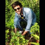Kartik Aaryan Instagram - With World Environment Day 🌏 around the corner, I will be doing my bit by providing a home for this lovely plant in my garden. As is Tropicana, by planting a tree for every @TropicanaIndia pack you buy on @Grofers. So how will you do your bit? Join the #TropicanaGiftATree movement now!#WorldEnvironmentDay