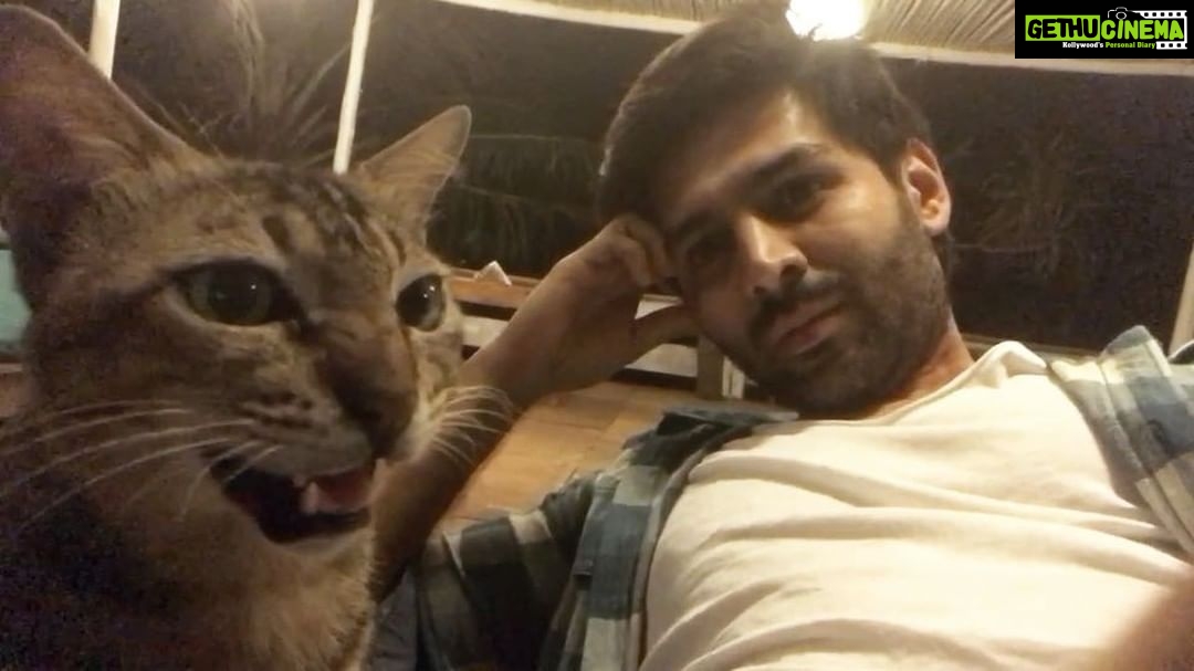 Kartik Aaryan Instagram - Taking her Workshop!! MEOOOWW 😘😍 #Goa #Animallover