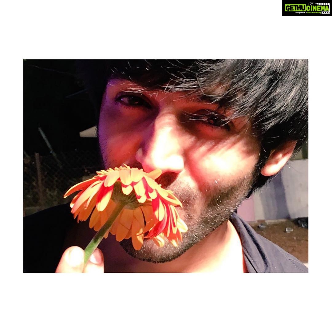 Kartik Aaryan Instagram - Happy Republic Day 🇮🇳