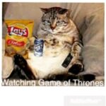 Kartik Aaryan Instagram - #gameofthrones #dieting #laptop #epic #favourite #series #addicted #fat #cat #killthemall #winter #is #coming #winterishere #thand #aa #gayi