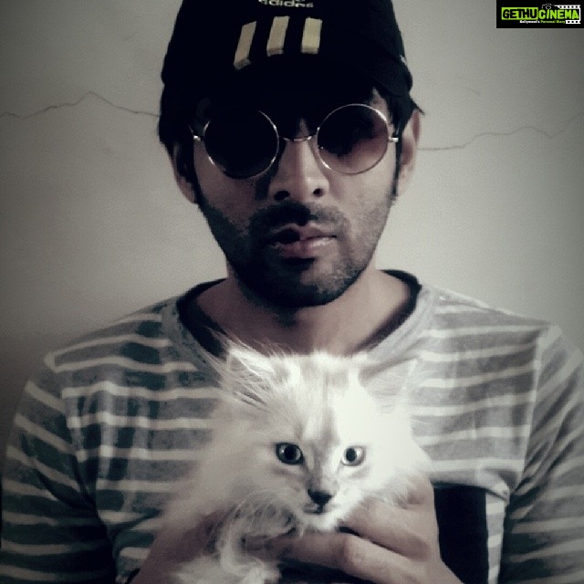 Kartik Aaryan Instagram - Why so serious #kartikaaryan #whitecat #instalike #picoftheday #cats #catlover #pets #petlover #whitecat #persiancat #pictureperfect #perfect #instacat #instapet #petstagram #love #cute #animales #catoftheday #adorable #lovecats #furry #whitetiger
