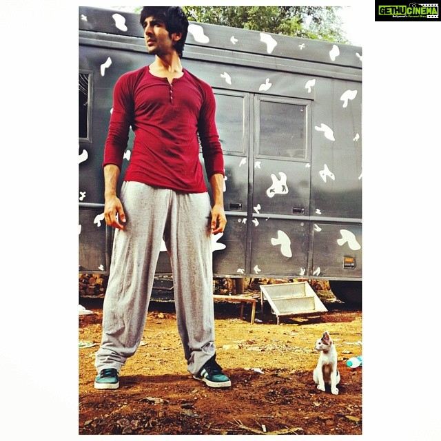 Kartik Aaryan Instagram - Thinking big #thinking #big #cats #instacats #Dreamer #OneDay #Million #First #Instagram #Post